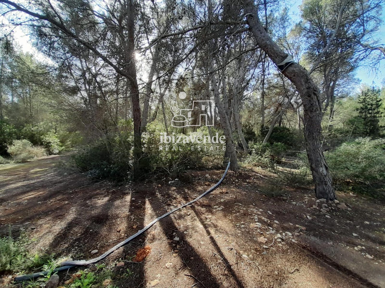 Mobilia Property Image