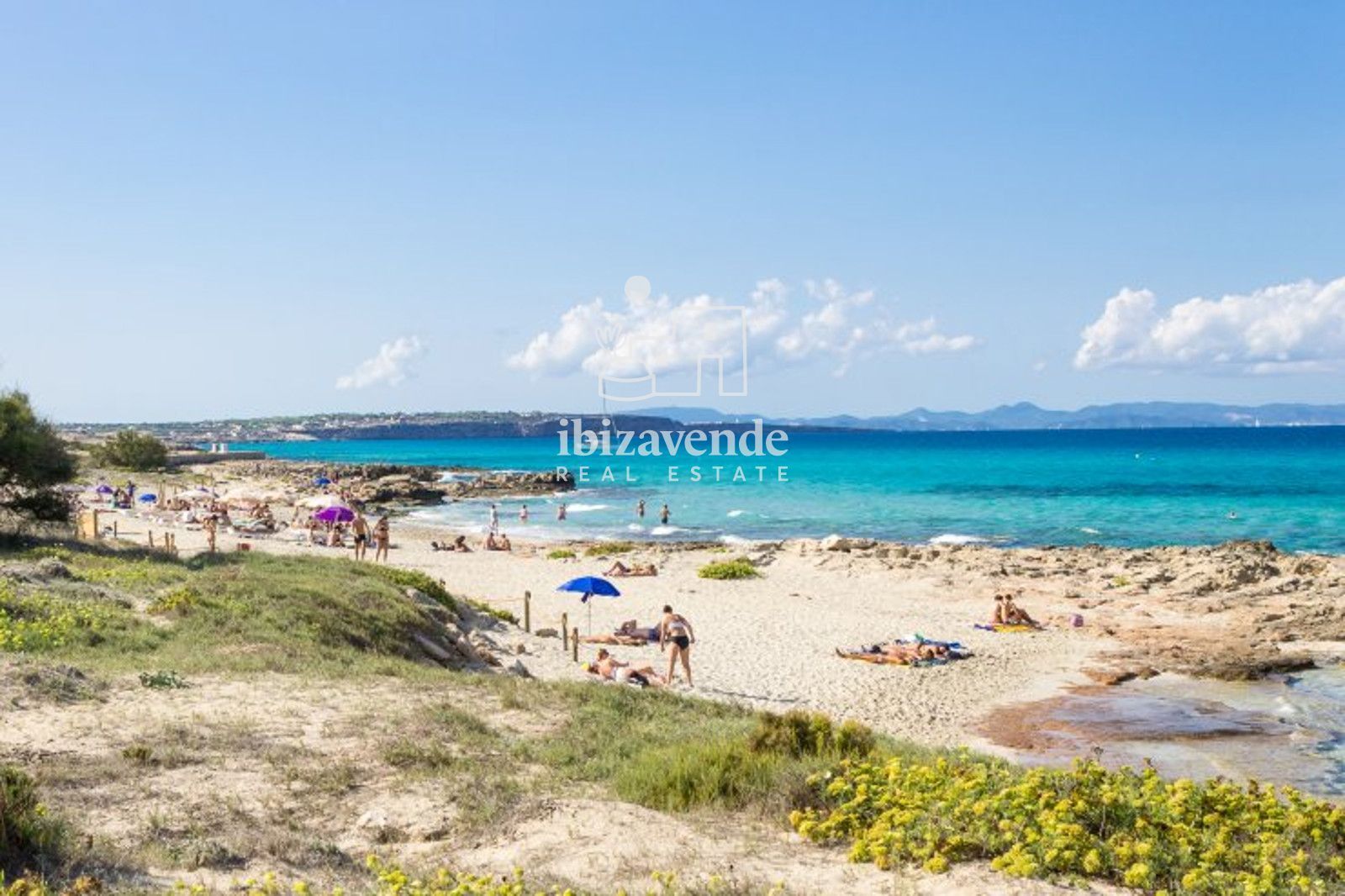 Mobilia Property Image