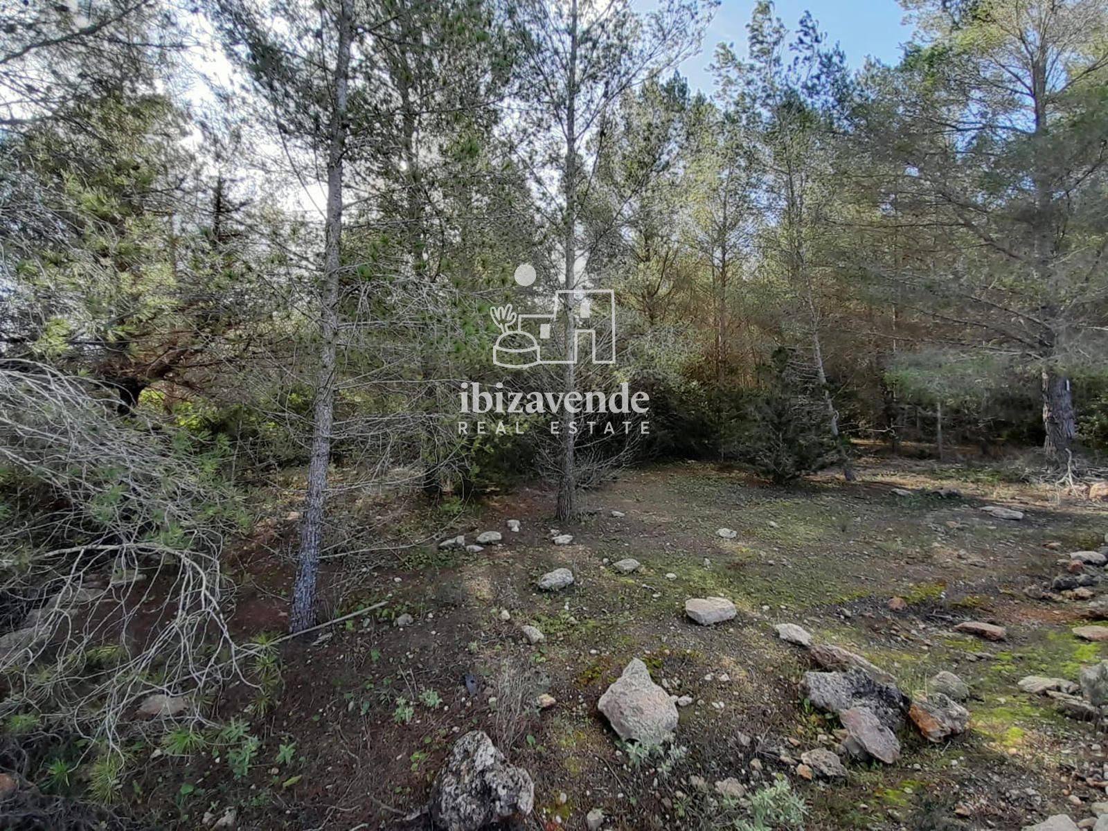 Mobilia Property Image