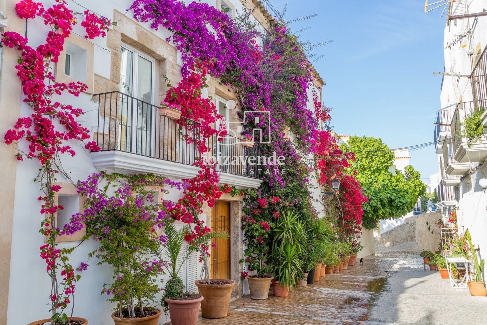 Mobilia Property Image