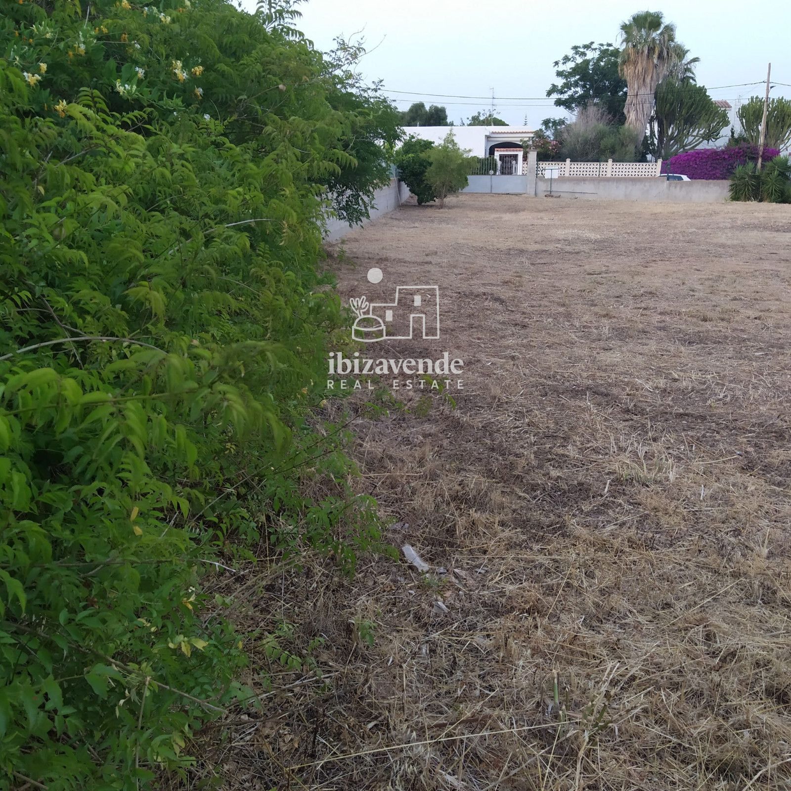 Mobilia Property Image