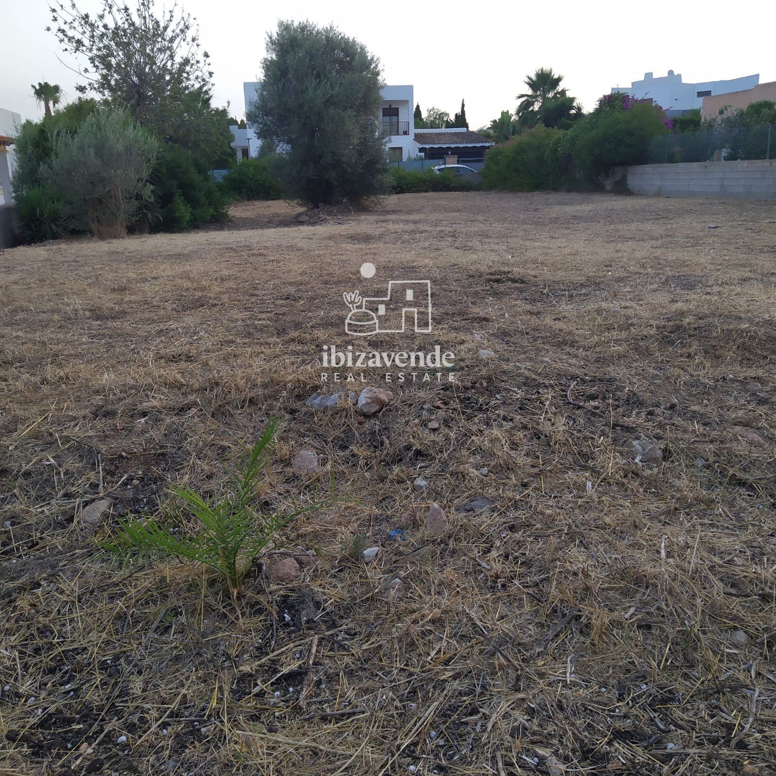 Mobilia Property Image