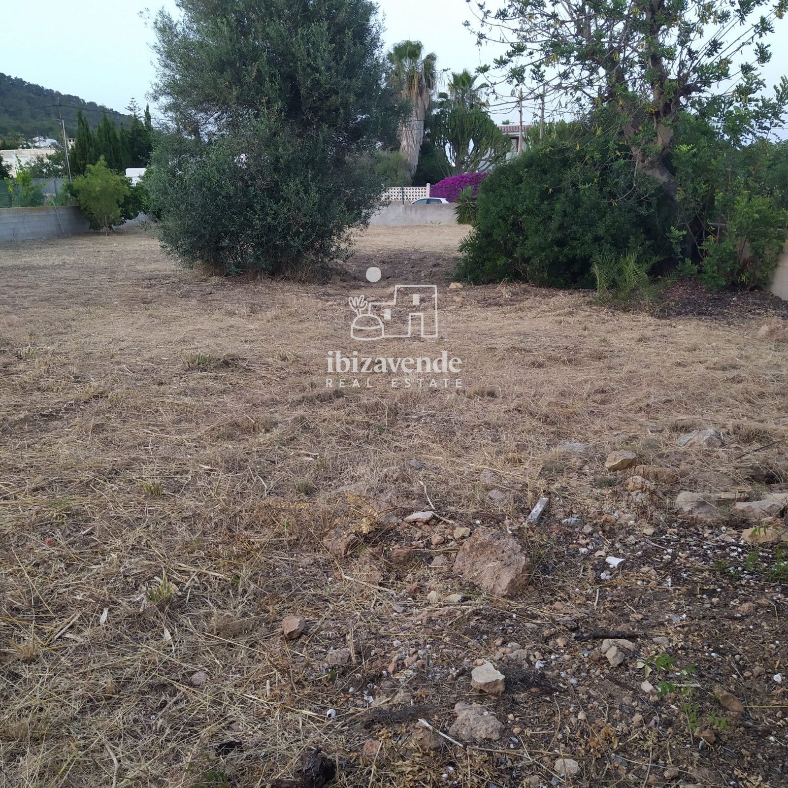 Mobilia Property Image