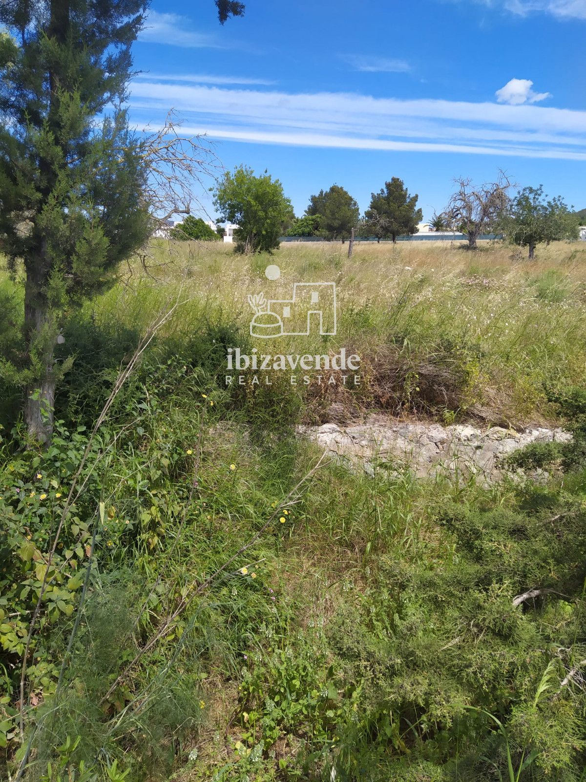 Mobilia Property Image