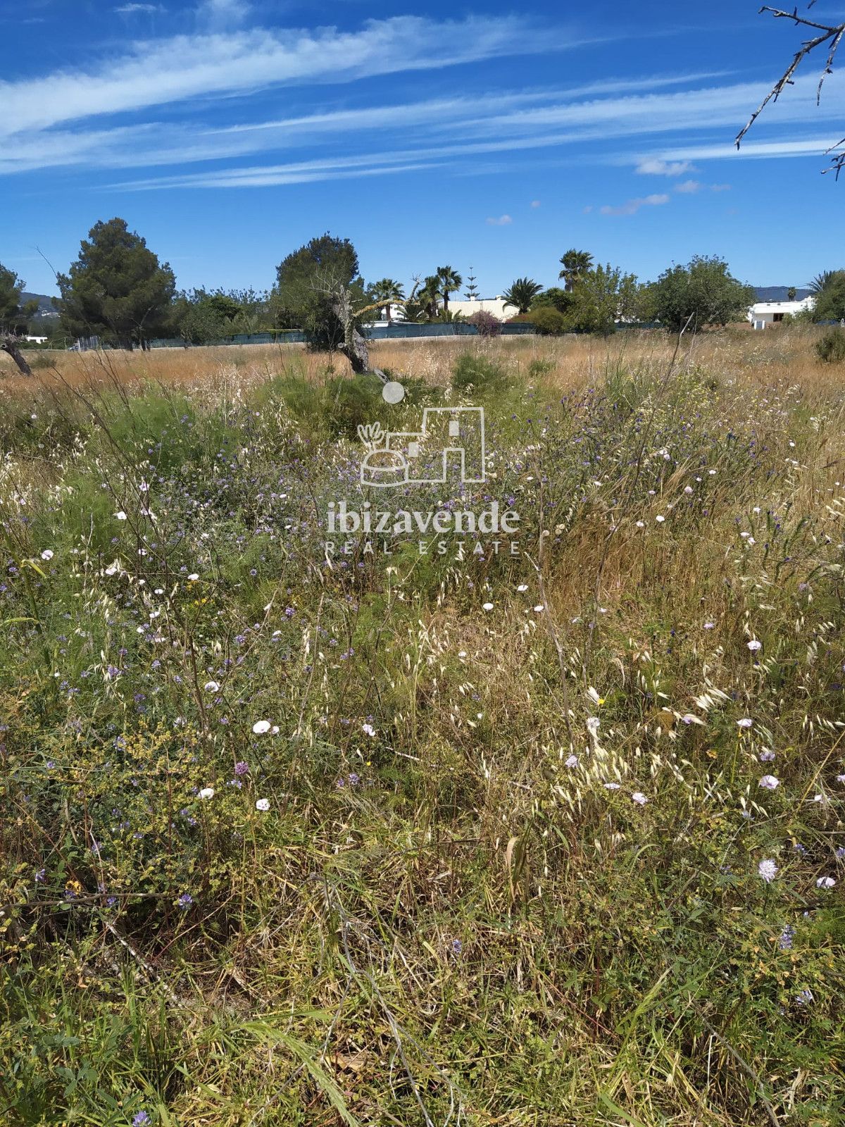 Mobilia Property Image