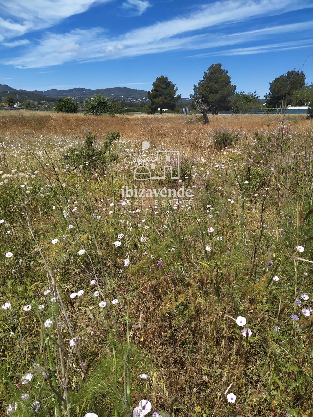 Mobilia Property Image