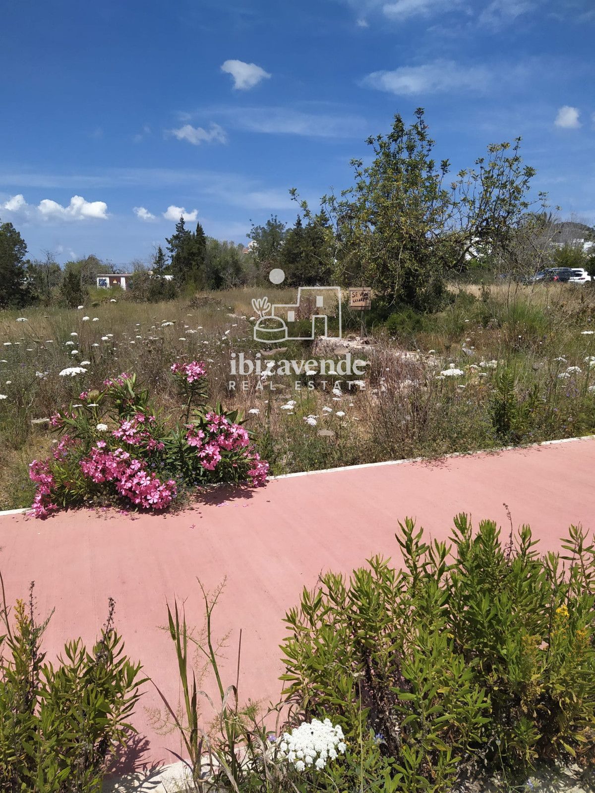 Mobilia Property Image