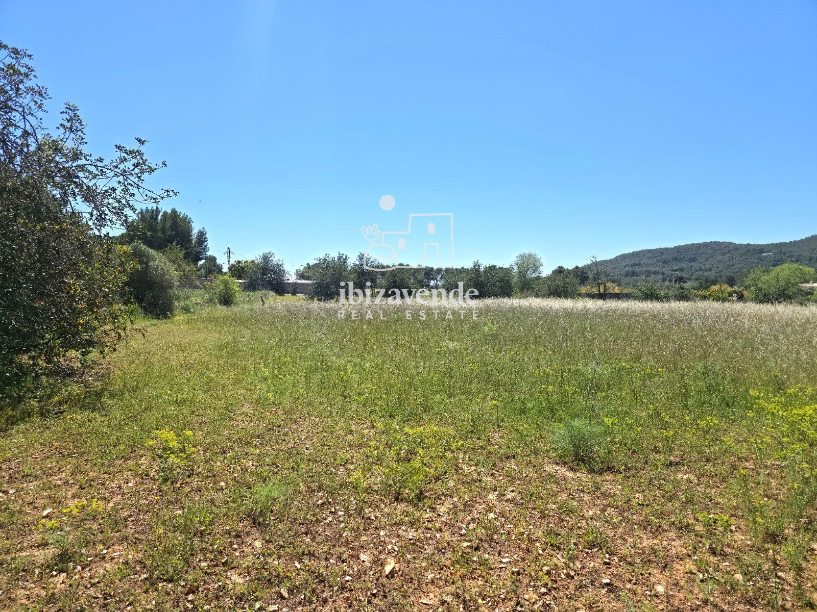 Mobilia Immobiliare Immagine