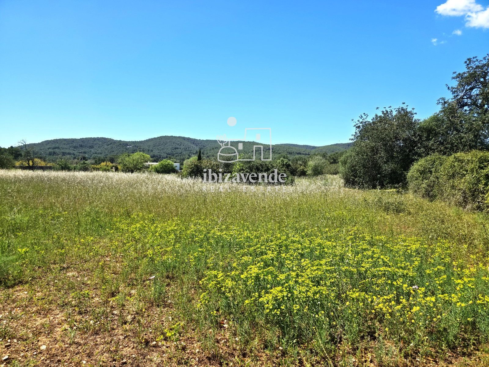 Mobilia Immobiliare Immagine