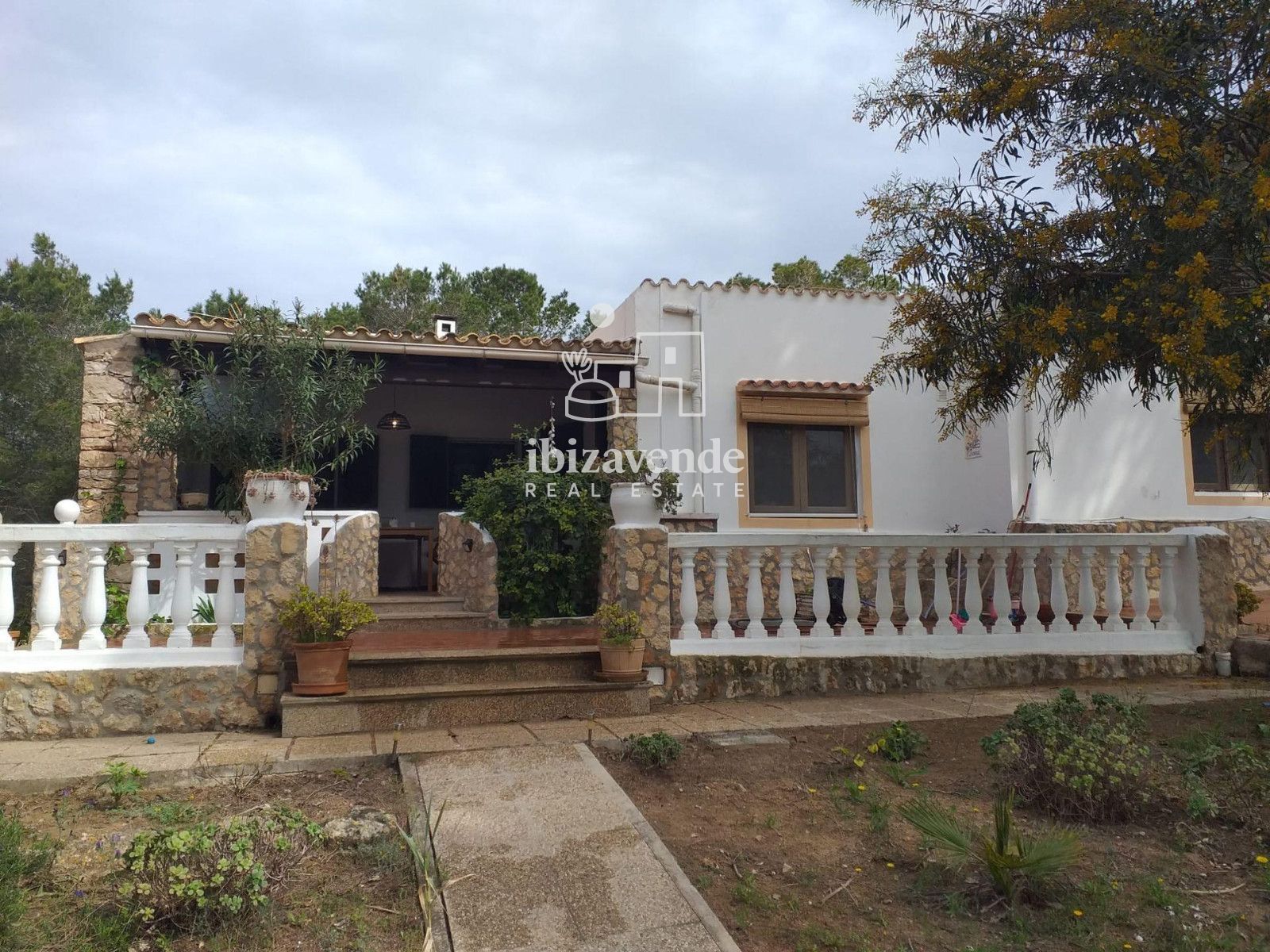 Mobilia Immobilien Bild