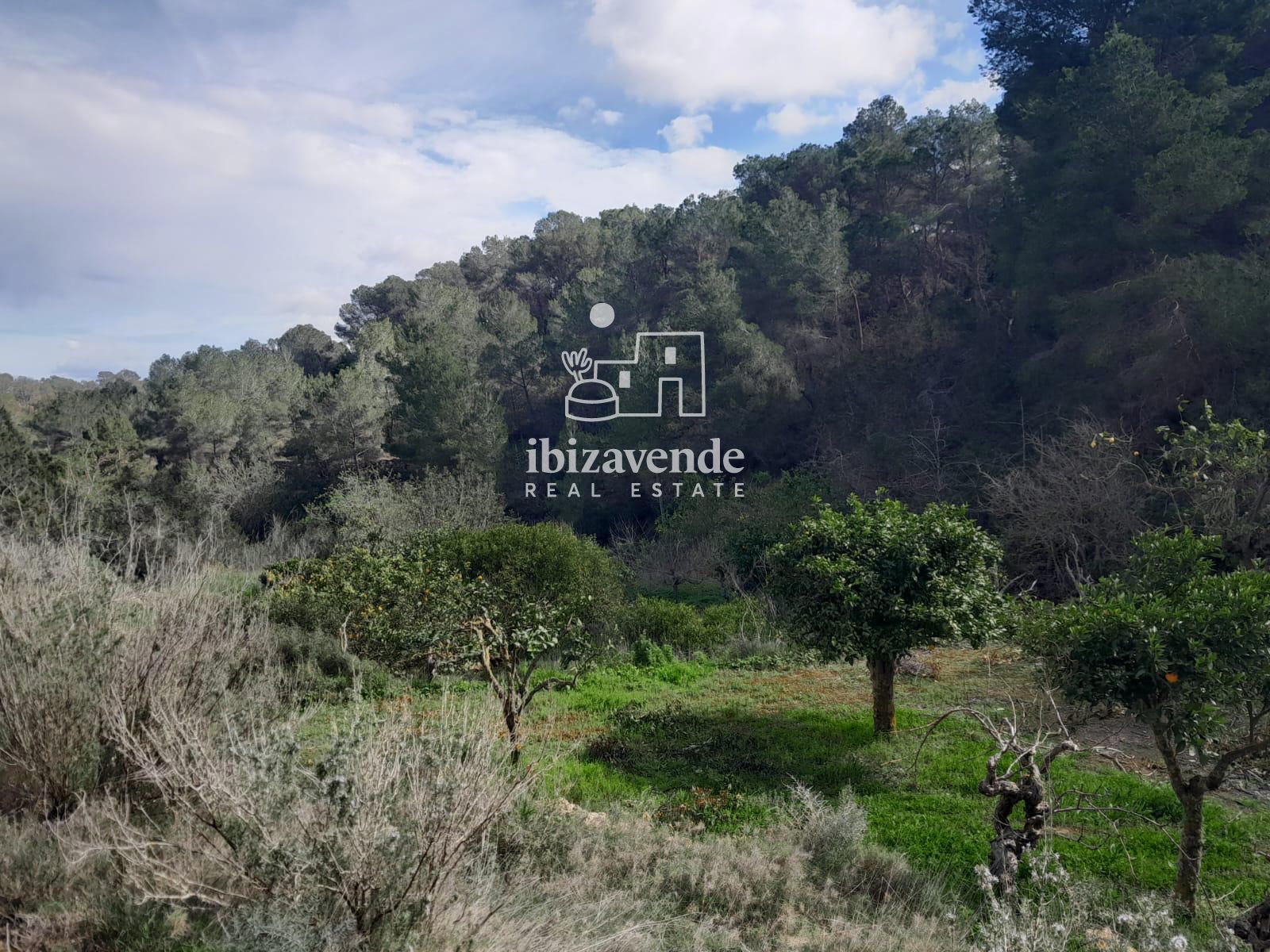 Mobilia Immobiliare Immagine