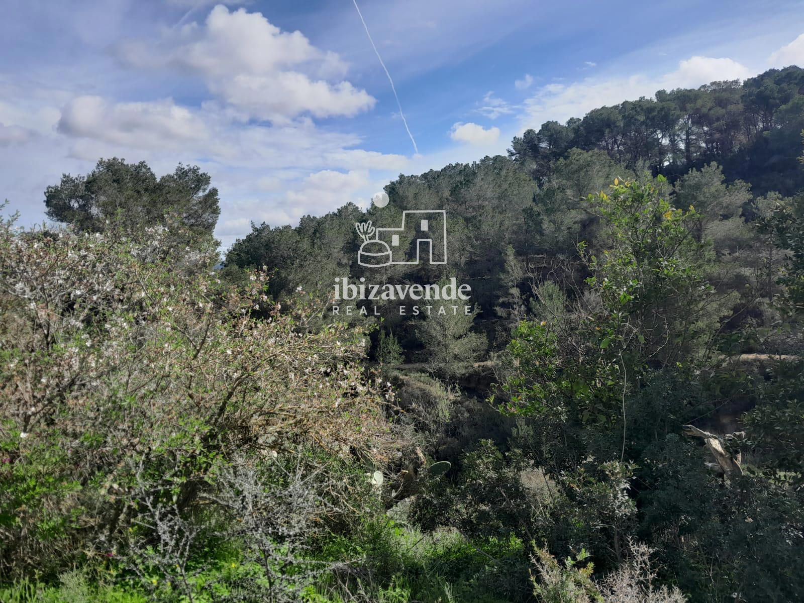 Mobilia Immobiliare Immagine