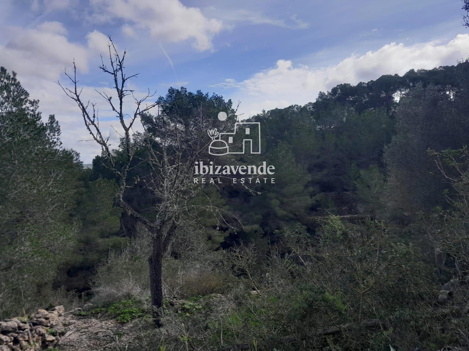 Mobilia Immobiliare Immagine
