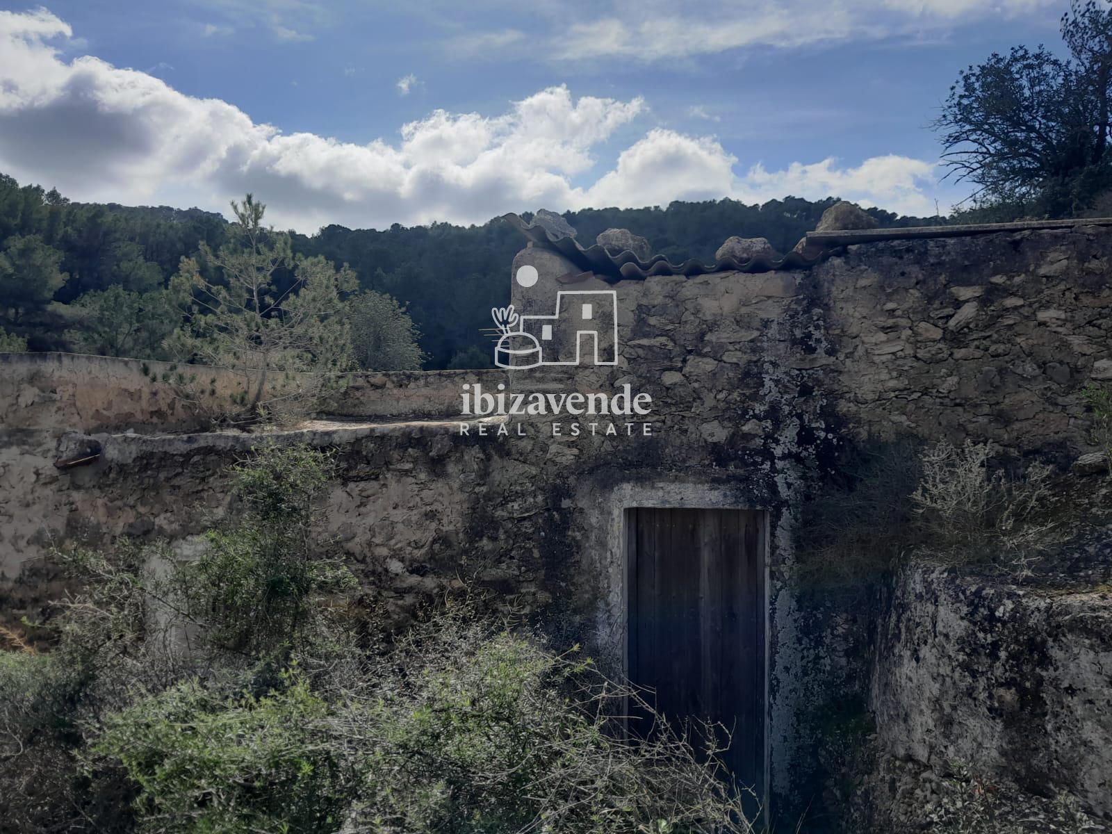 Mobilia Immobiliare Immagine