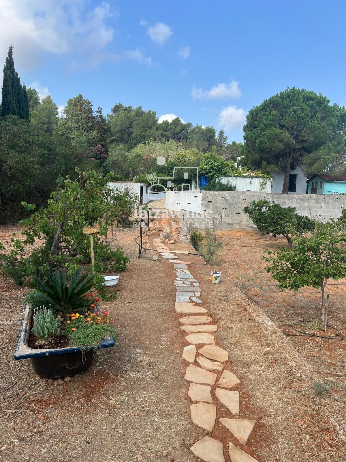 Mobilia Immobilien Bild