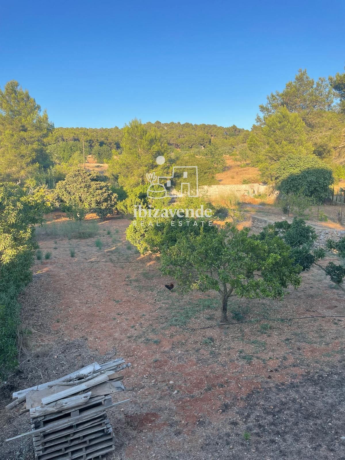 Mobilia Immobilien Bild