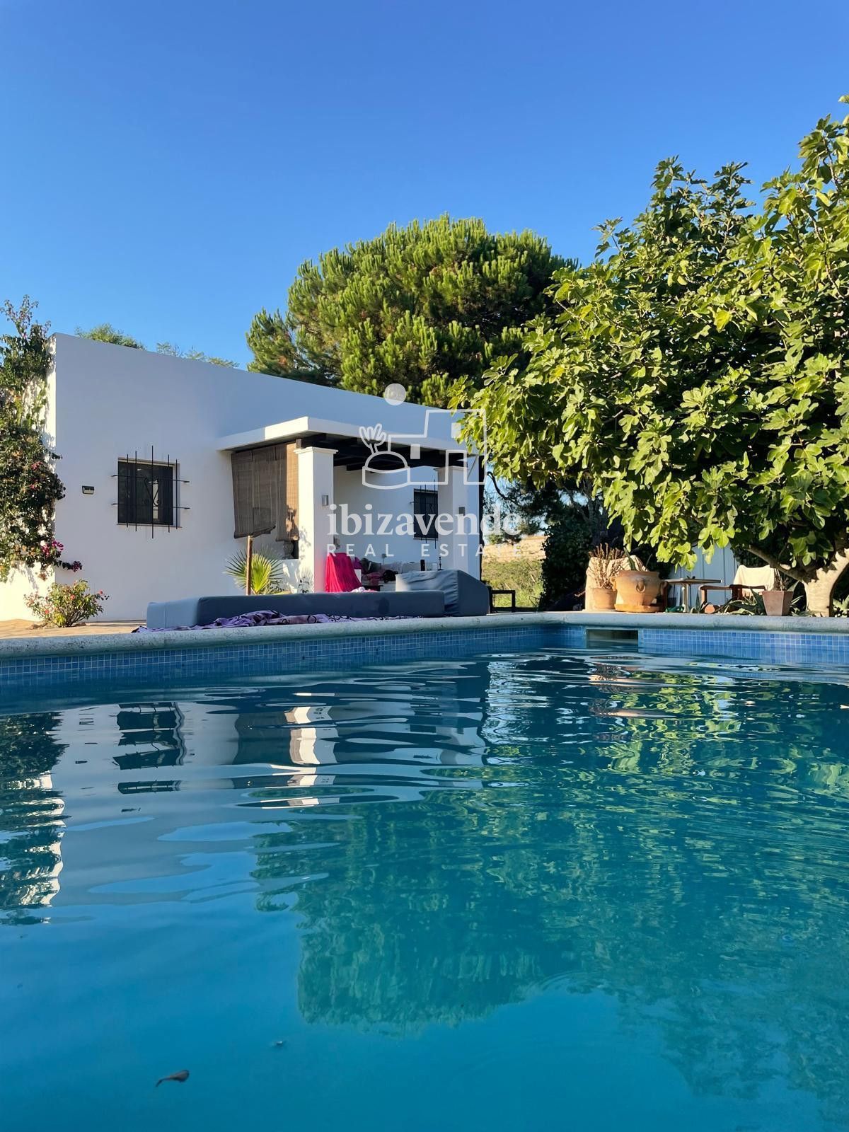 Mobilia Immobilien Bild