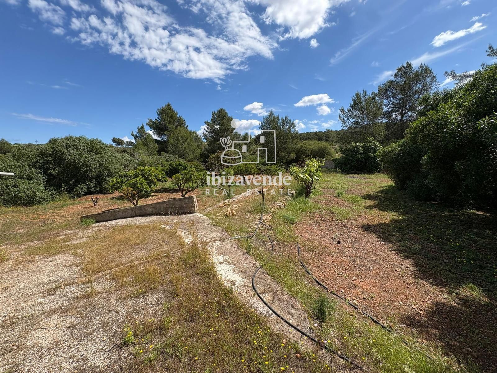 Mobilia Immobilien Bild