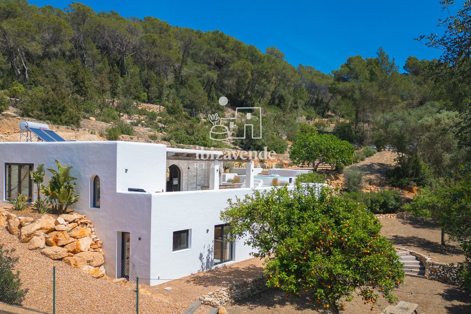 Mobilia Immobilien Bild