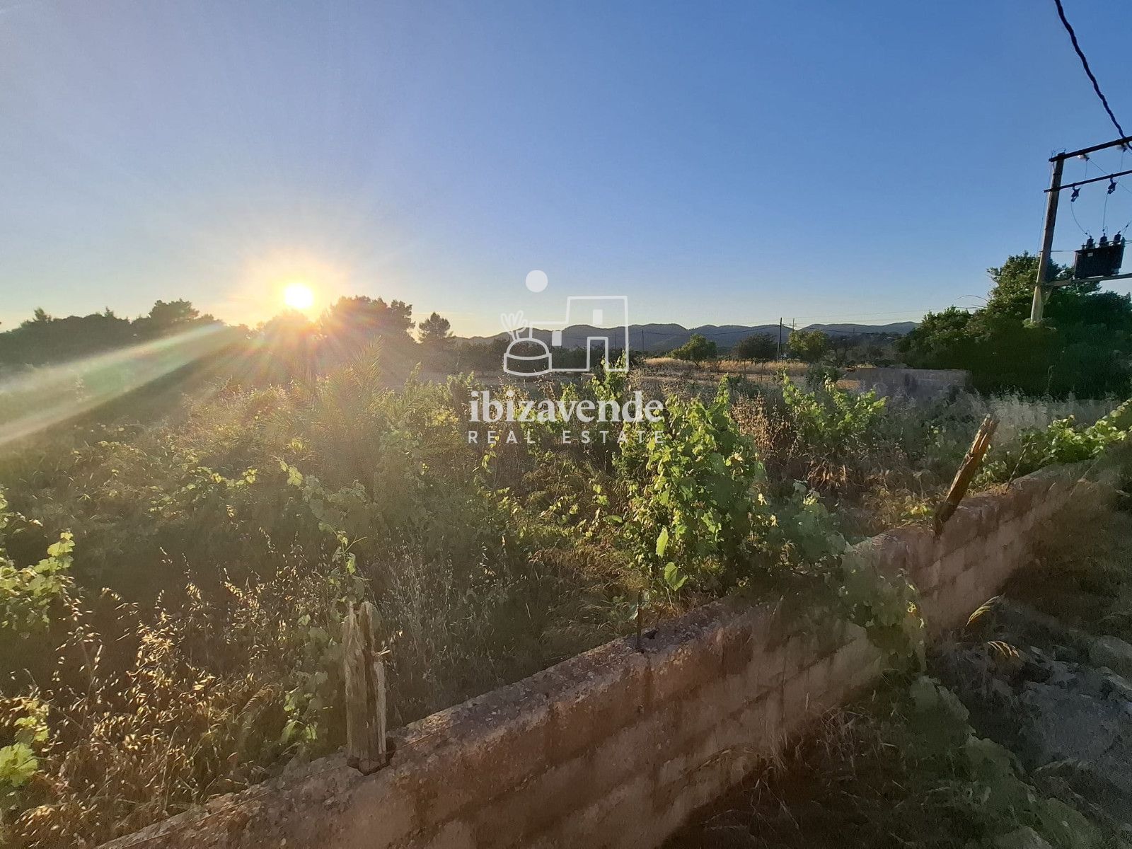 Mobilia Property Image
