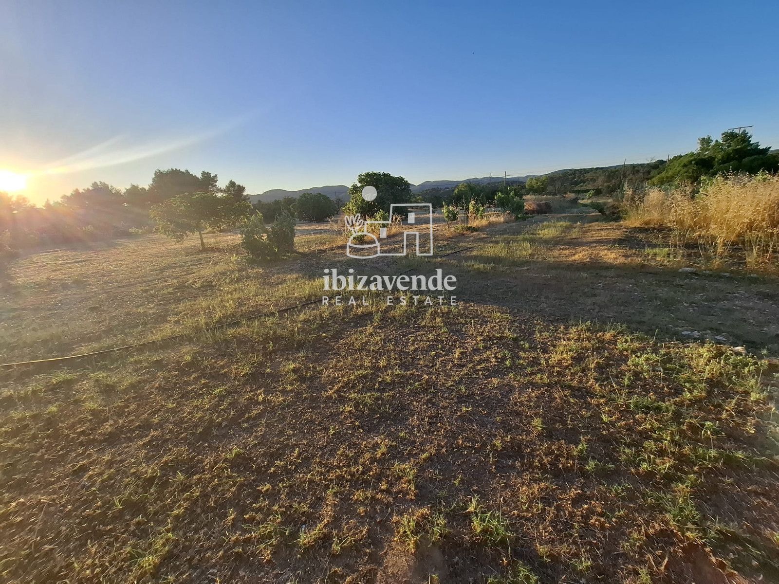 Mobilia Property Image