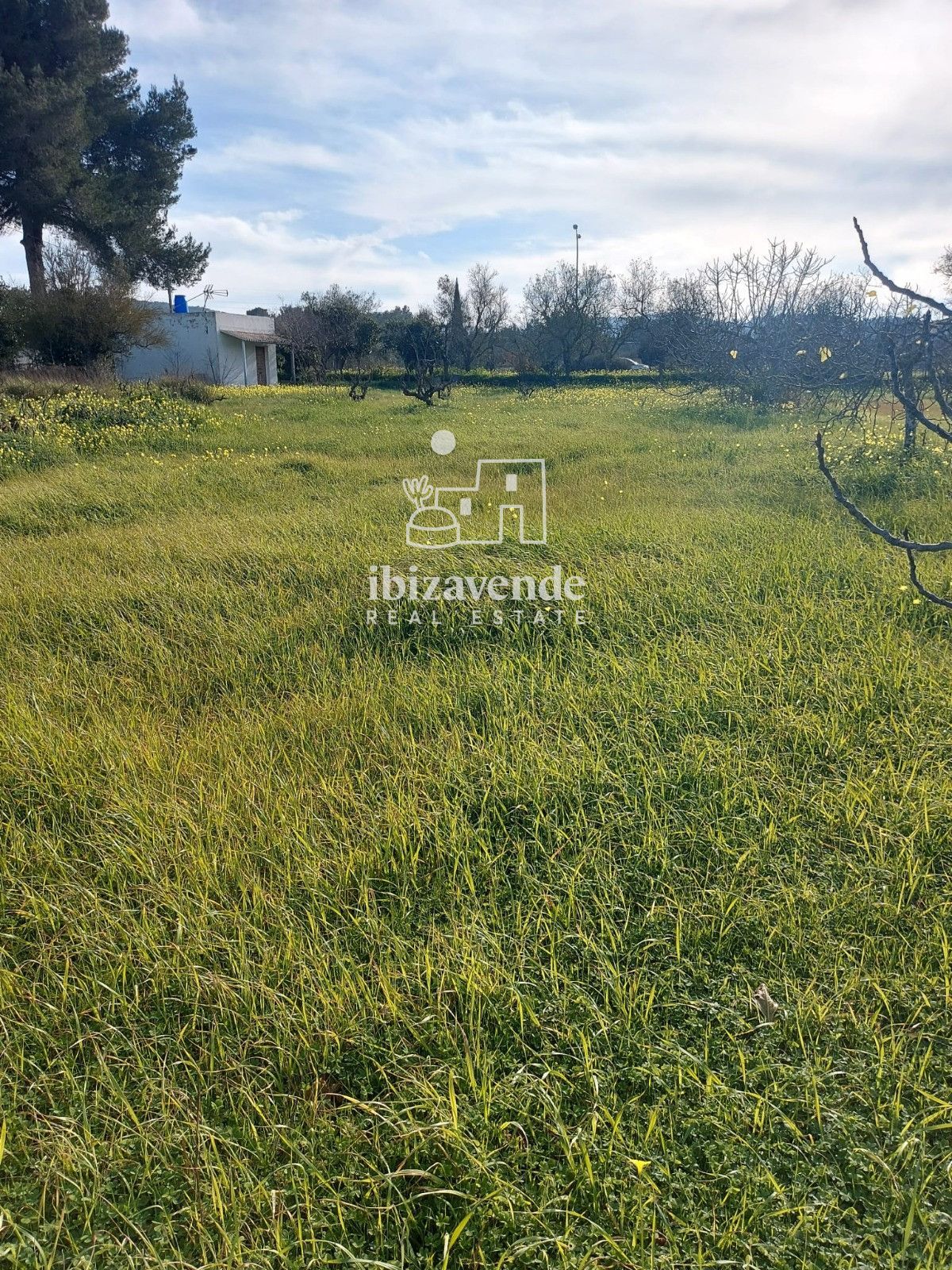 Mobilia Property Image