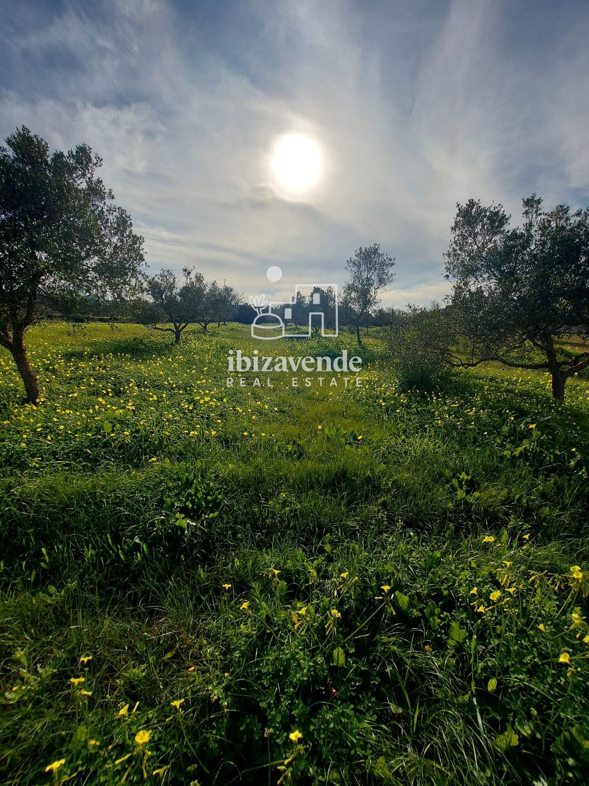 Mobilia Property Image