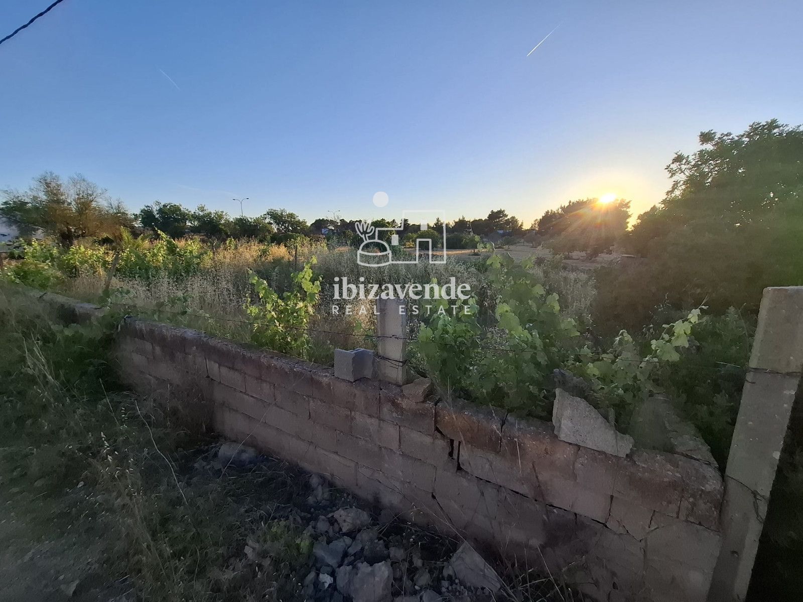 Mobilia Property Image