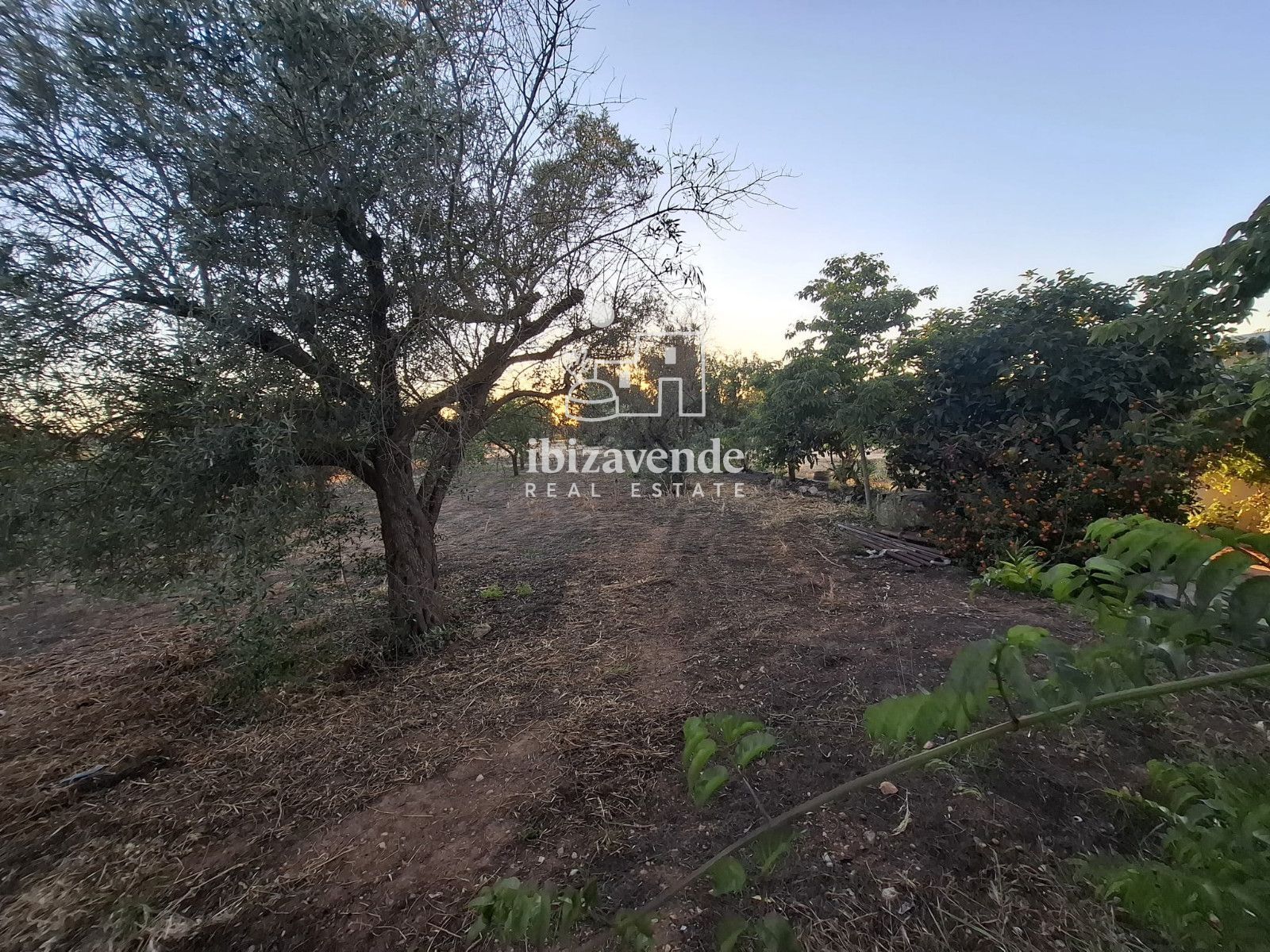 Mobilia Property Image