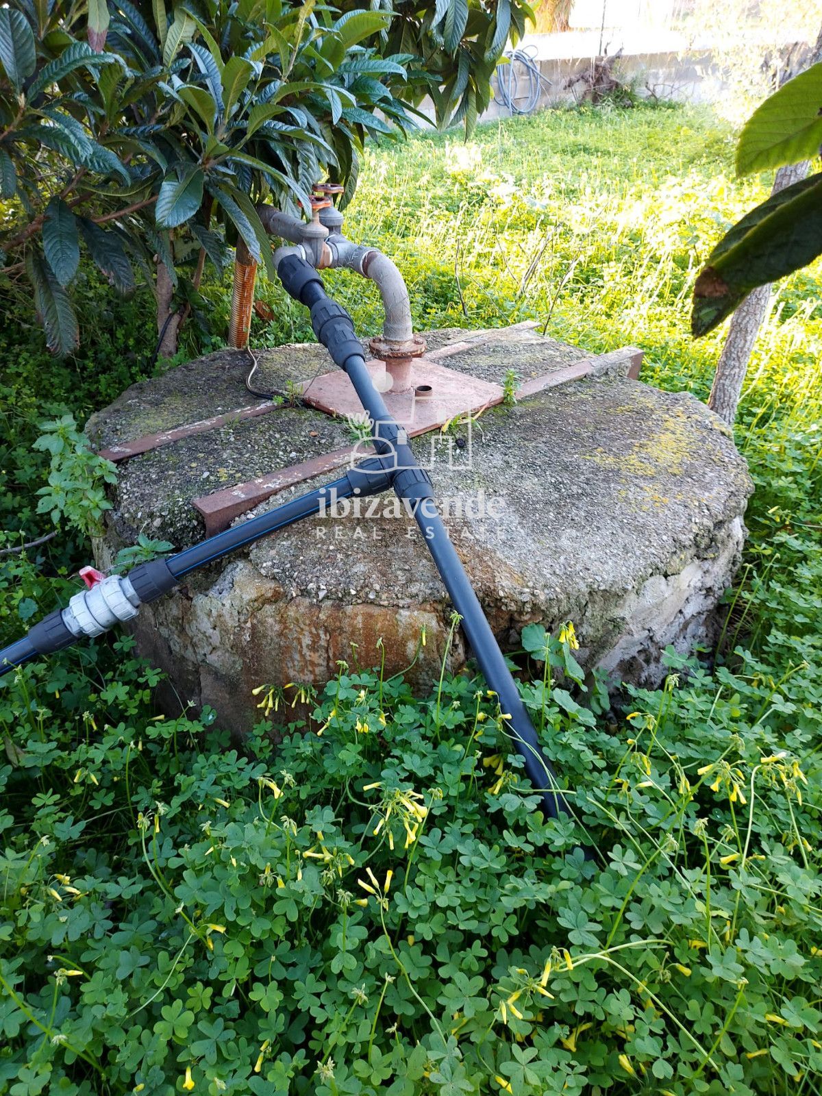 Mobilia Property Image