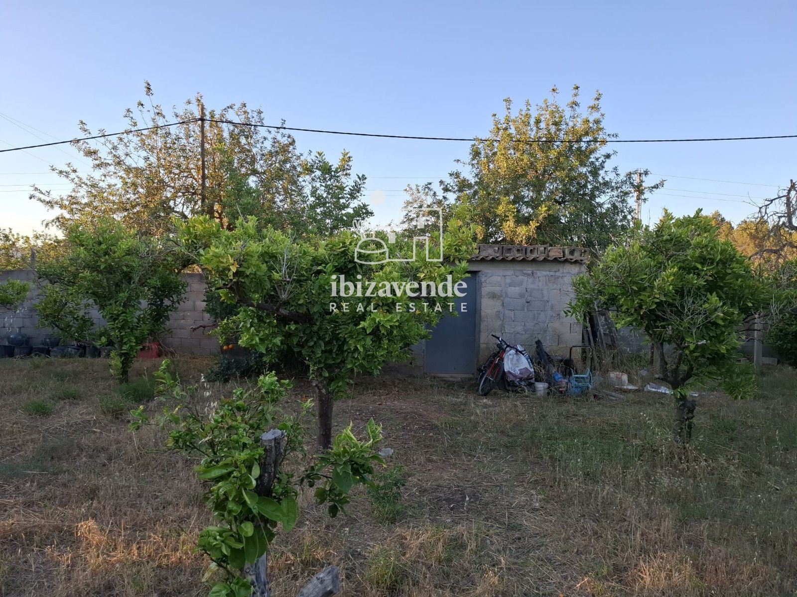 Mobilia Property Image