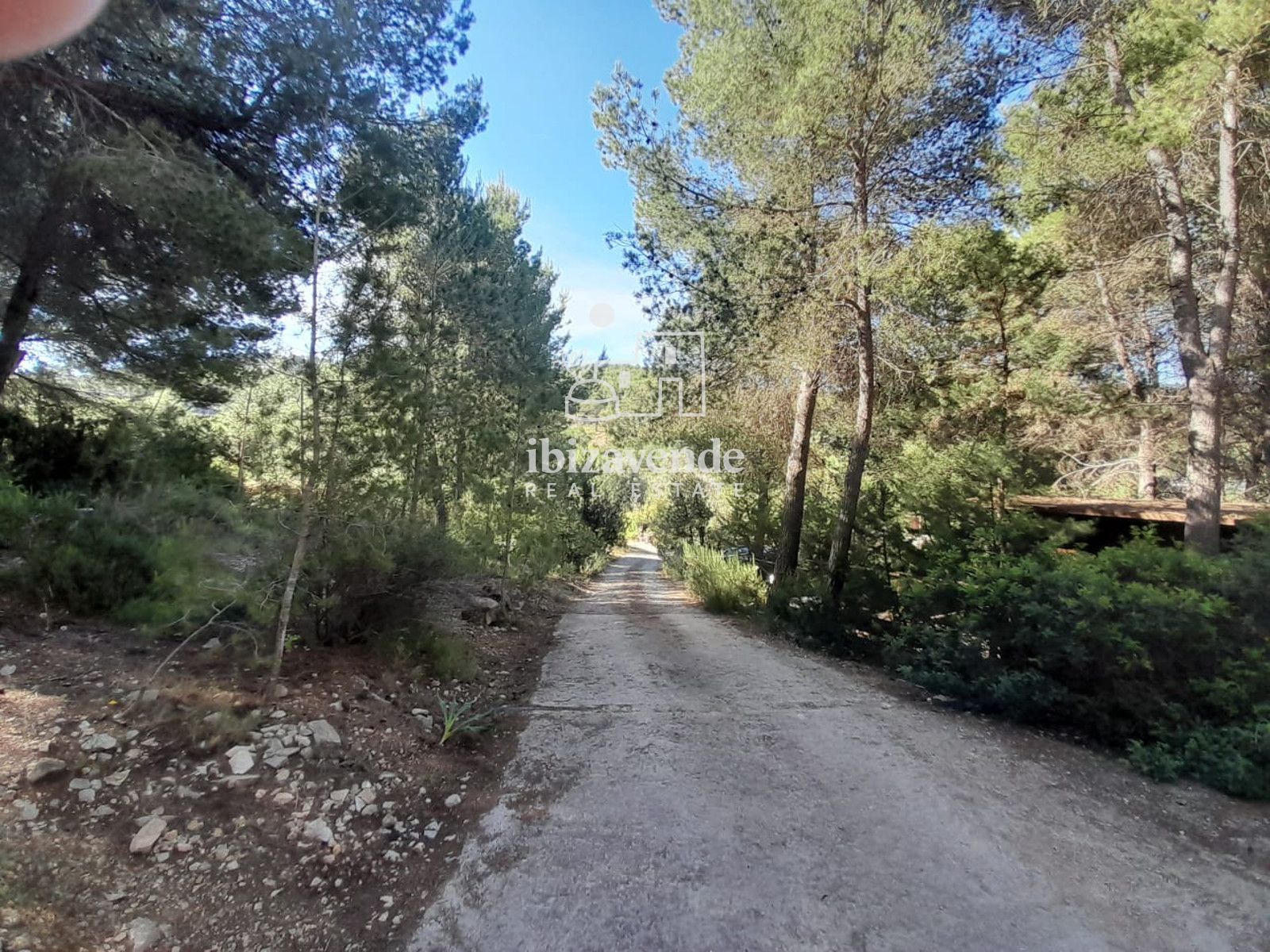 Mobilia Immobilien Bild