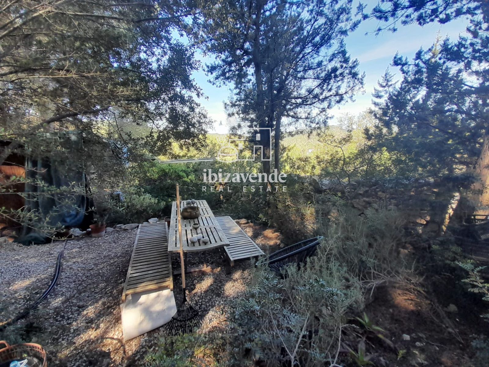 Mobilia Immobilien Bild