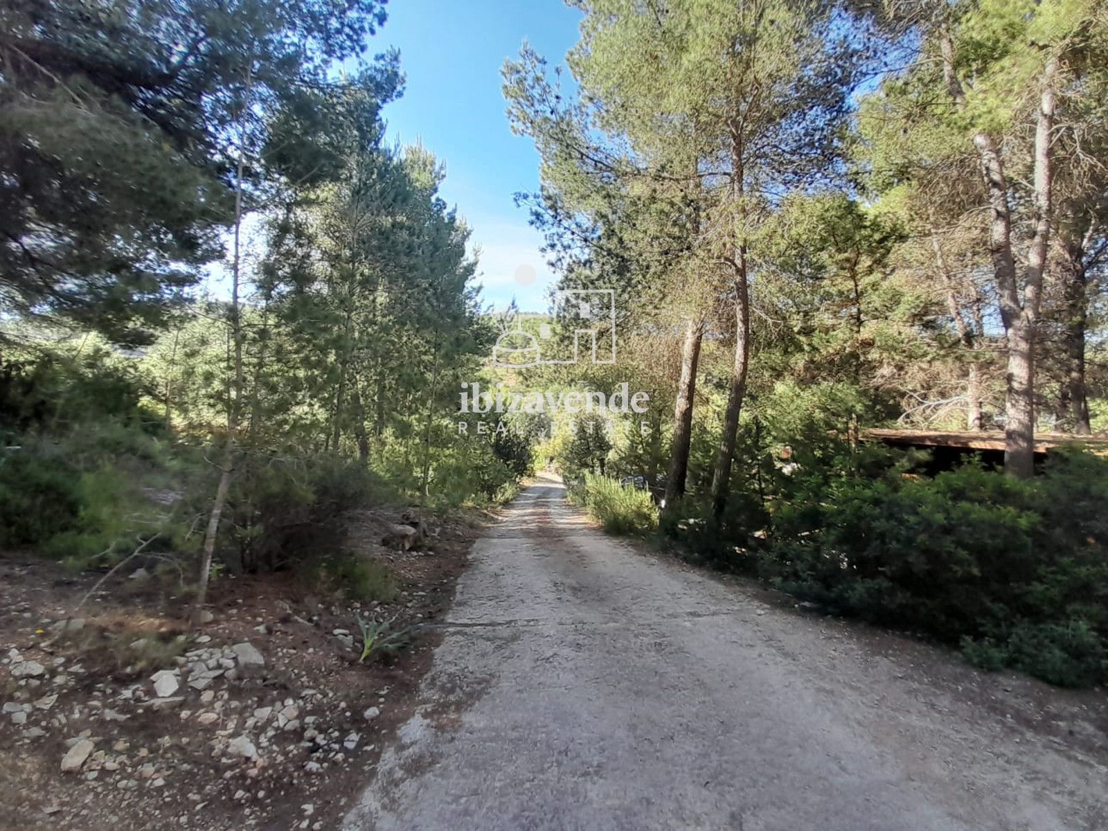 Mobilia Immobilien Bild