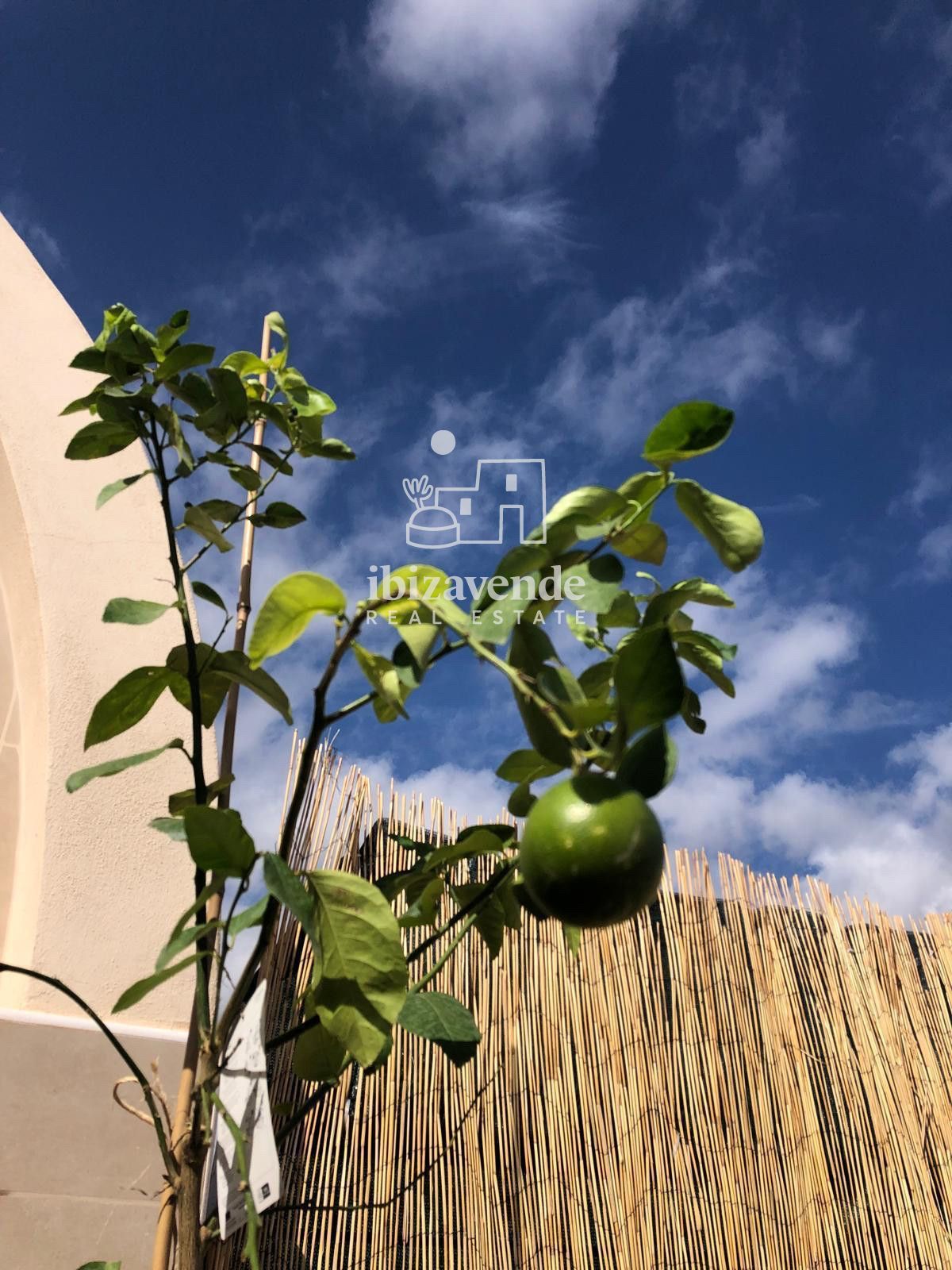 Mobilia Immobilien Bild