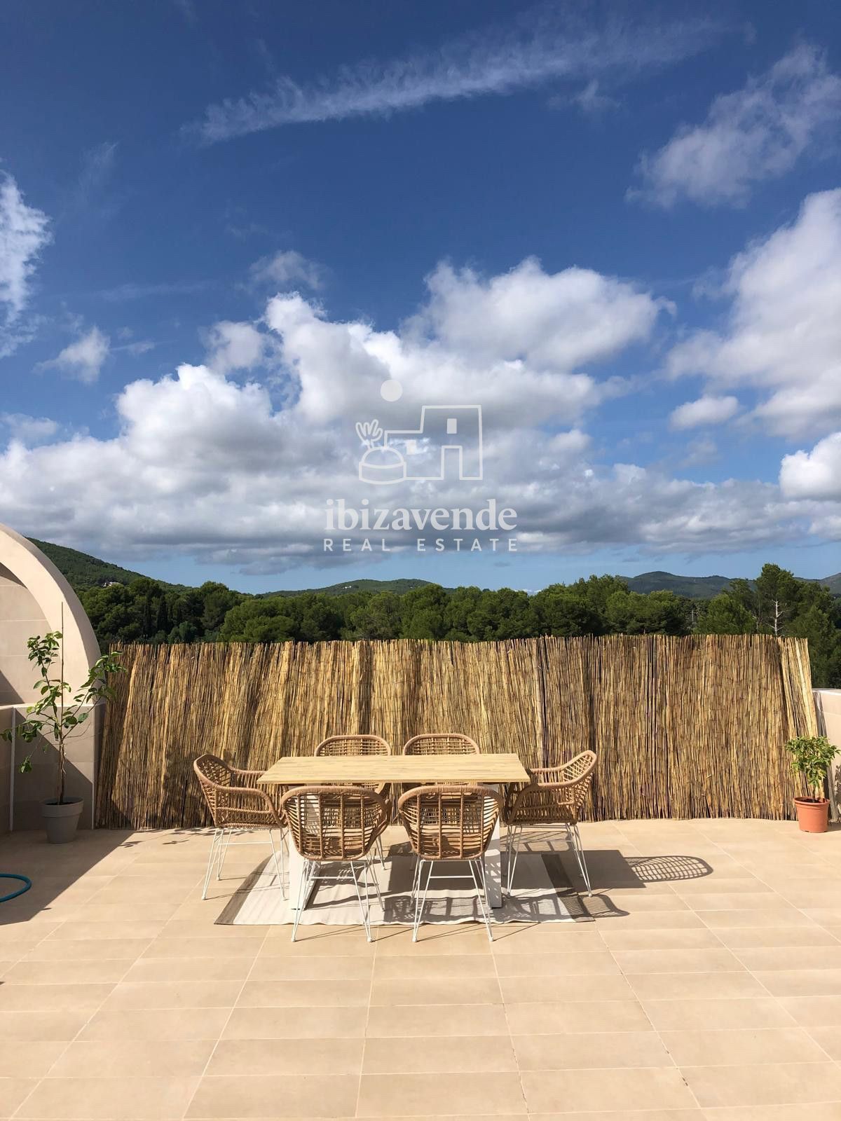 Mobilia Immobilien Bild