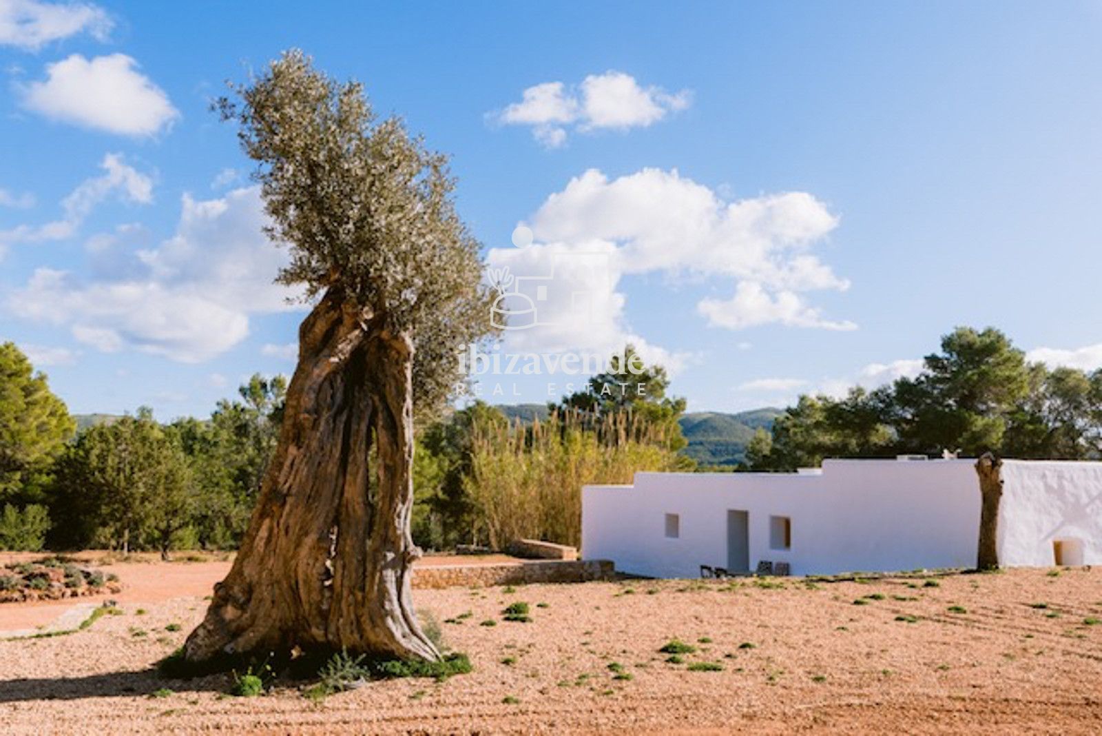 Mobilia Inmueble Image